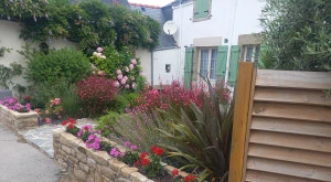 Création jardin